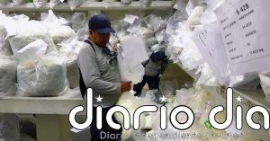 Perú destruye más de nueve toneladas de droga incautada en una operación contra el narcotráfico