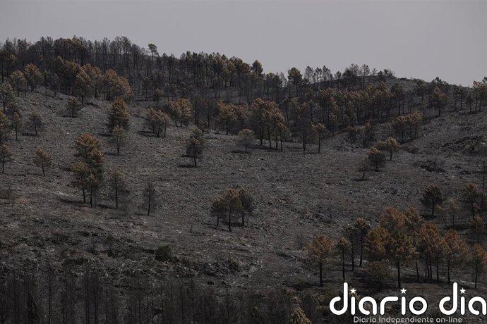 PSOE acusa al PP de volver al 'que se hunda España' de Montoro tras rechazar pacto climático: "Votan contra los avances"