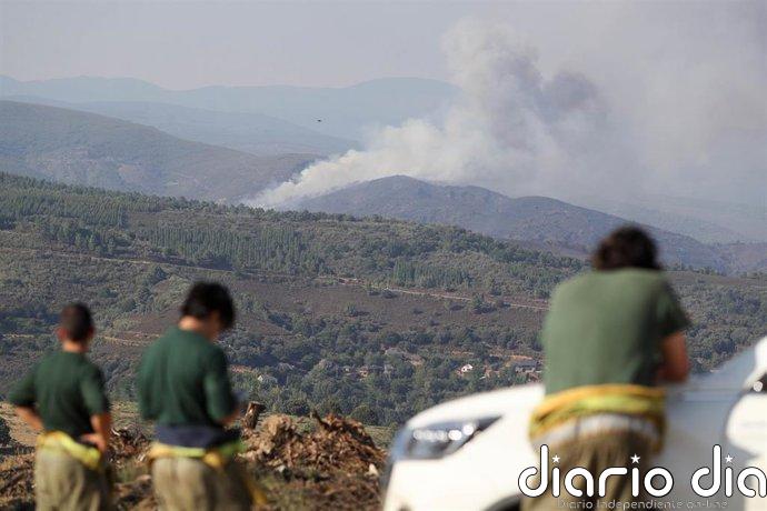 Reactivado el incendio de Veguellina (León) en un flanco que cae hacia el pueblo