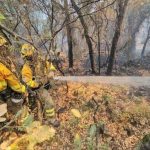Regresa a la Región el dispositivo del Plan Infomur que ha colaborado en la extinción del incendio de la Vall D'Uixó