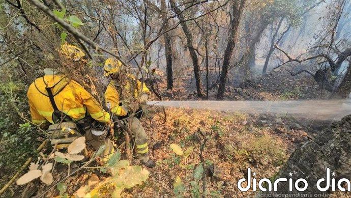 Regresa a la Región el dispositivo del Plan Infomur que ha colaborado en la extinción del incendio de la Vall D'Uixó