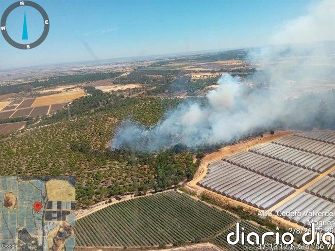 Retirados los cinco medios aéreos del Infoca tras estabilizarse el incendio declarado en Moguer (Huelva)