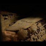 RTVE graba por primera vez el interior de las criptas de Cuelgamuros para un documental que presentará en San Sebastián