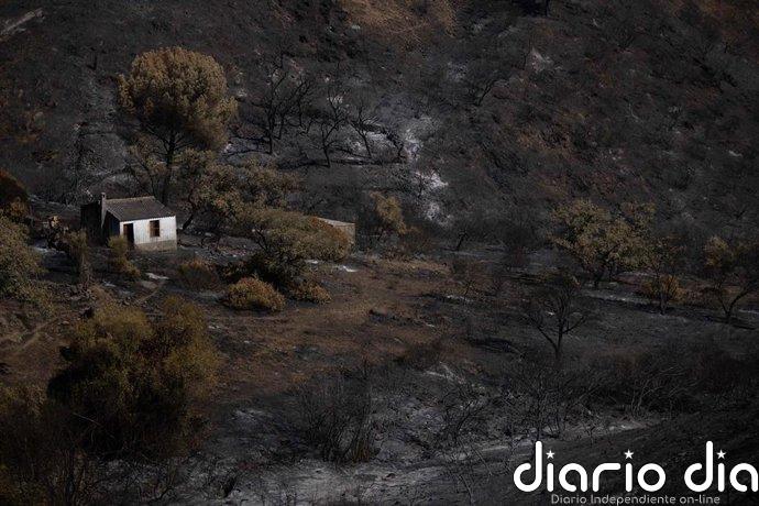 Sanz anuncia que la evolución del incendio de Niebla (Huelva) permite la desescalada a fase de preemergencia