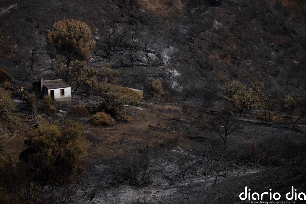 Sanz autoriza el regreso de otros 154 desalojados mientras continúa sin expandirse el incendio de Niebla (Huelva)