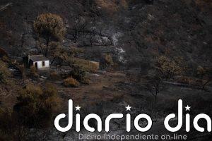 Sanz autoriza el regreso de otros 154 desalojados mientras continúa sin expandirse el incendio de Niebla (Huelva)