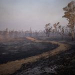 Sanz confirma "avances" en el incendio de Niebla (Huelva) aunque con "incertidumbre" ante otro cambio de viento