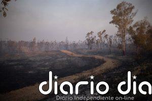 Sanz confirma "avances" en el incendio de Niebla (Huelva) aunque con "incertidumbre" ante otro cambio de viento