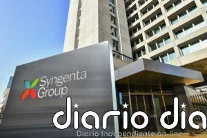 Syngenta factura un 2,4% menos en el primer semestre arrastrado por la caída de su negocio en China