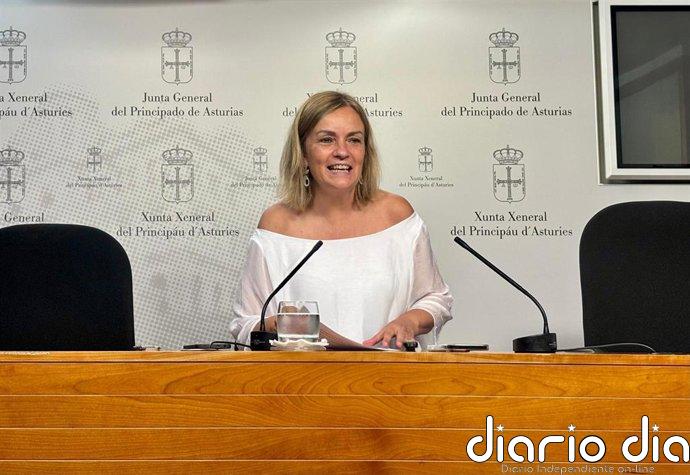 Tomé (G.Mixto) exige mejorar la seguridad del centro de menores de Sograndio