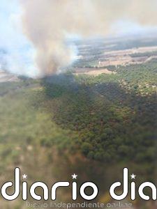 Treinta efectivos por tierra trabajan de madrugada con fuerte viento en el incendio de Lucena del Puerto (Huelva)