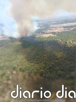 Treinta efectivos por tierra trabajan de madrugada con fuerte viento en el incendio de Lucena del Puerto (Huelva) Incendio declarado este miércoles en el paraje Santa Catalina de Lucena del Puerto.