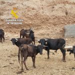 Tres detenidos en Almazora y Cabanes relacionados con robos en explotaciones agrícolas y ganaderas