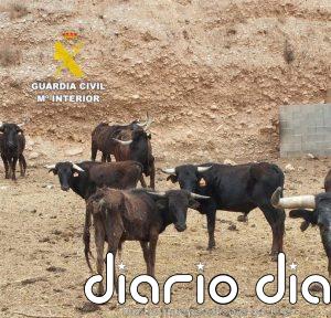 Tres detenidos en Almazora y Cabanes relacionados con robos en explotaciones agrícolas y ganaderas