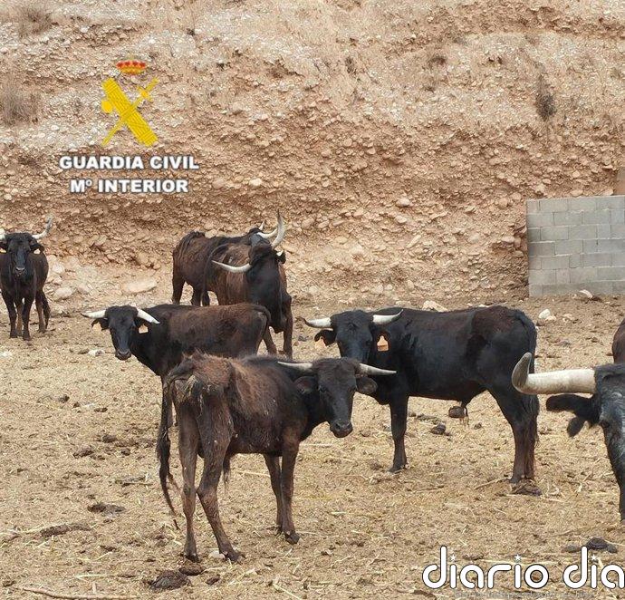 Tres detenidos en Almazora y Cabanes relacionados con robos en explotaciones agrícolas y ganaderas