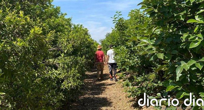 Uatae pide una estrategia específica que garantice el relevo generacional y la viabilidad económica del campo