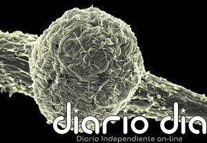 Uganda declara el final del brote de ébola tras 42 días sin contagios tras el alta del último paciente