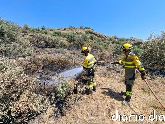 UGT exige al Gobierno de Aragón soluciones "inmediatas" a las reivindicaciones de los bomberos forestales