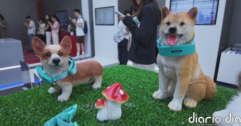 Un collar inteligente desarrollado en China traduce los ladridos de los perros