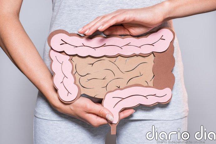 Un estudio cuestiona el supuesto beneficio del sobrepeso en la supervivencia del cáncer colorrectal