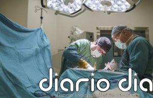 Un estudio desarrolla una estrategia con anticuerpos para reducir la toxicidad de los trasplantes de células madre