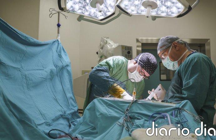 Un estudio desarrolla una estrategia con anticuerpos para reducir la toxicidad de los trasplantes de células madre