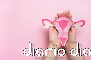 Un estudio identifica una bacteria asociada con un endometrio más saludable y una mejor implantación embrionaria
