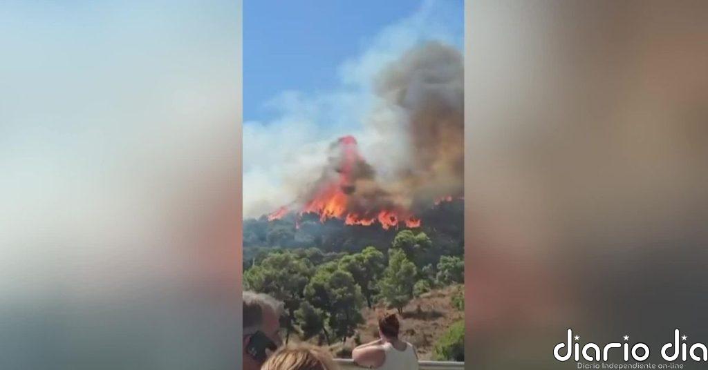 Un incendio forestal en Barcelona obliga a desalojar a los vecinos que viven en las primeras casas junto al parque forestal de Collserola