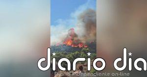 Un incendio forestal en Barcelona obliga a desalojar a los vecinos que viven en las primeras casas junto al parque forestal de Collserola