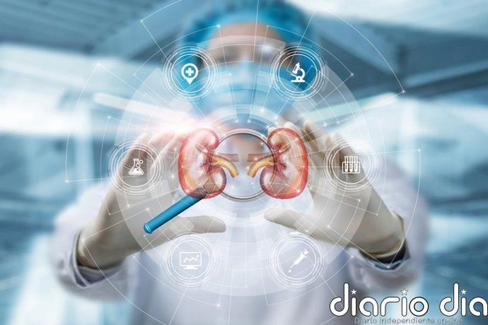 Un nuevo fármaco contra el cáncer de riñón metastásico bloquea una proteína clave del tumor