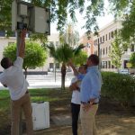 Un sistema inteligente permite ajustar el riego de los parques y jardines de Murcia
