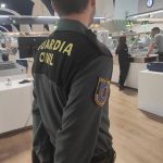 Un total de 17 turistas procedentes de Italia son identificados en controles en Sevilla y Málaga