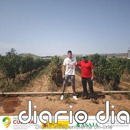 Un viticultor madrileño participa en La Rioja en el Programa Cultiva para conocer el manejo del viñedo riojano