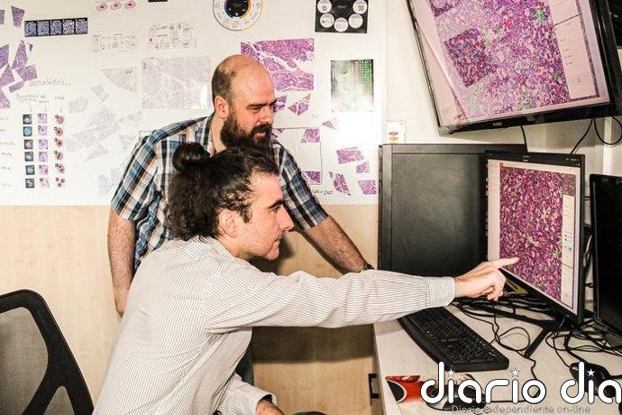 Una IA descubre dentro de los tumores las células que podrían estar detrás de las metástasis