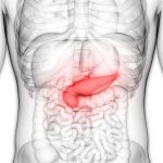 Una investigación concluye que la diabetes tipo 2 se manifiesta de manera diferente según el peso corporal
