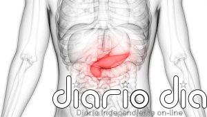 Una investigación concluye que la diabetes tipo 2 se manifiesta de manera diferente según el peso corporal