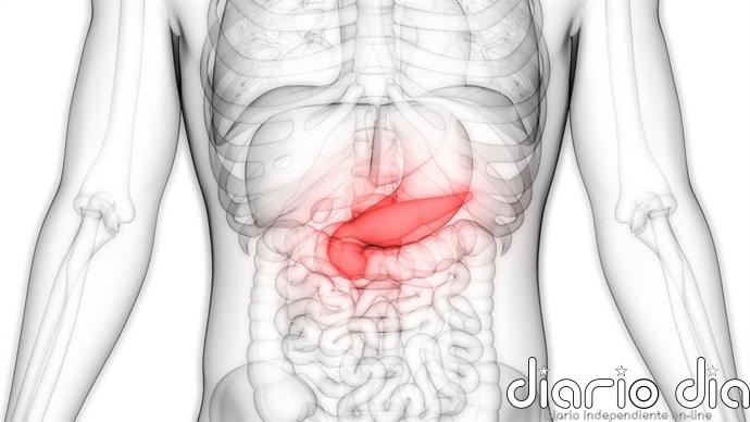 Una investigación concluye que la diabetes tipo 2 se manifiesta de manera diferente según el peso corporal
