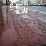 Una tormenta deja un muerto y varios heridos graves por la caída de árboles en una zona turística del este de Alemania