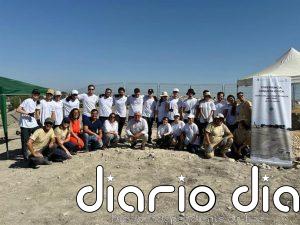 Una veintena de jóvenes participa en un campo de voluntariado arqueológico en el Cerro del Alcázar de Baeza (Jaén)