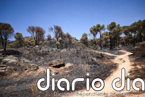 Unos 40 efectivos siguen refrescando el perímetro de incendio Sierra Oeste, con especial atención al embalse de San Juan