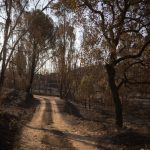 Valverde (Huelva) aplaza 48 horas el inicio de su feria, prevista para el día 12, por el incendio de Niebla