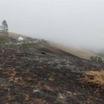 Villaviciosa destinará 130.000 euros a prevención de incendios forestales este año