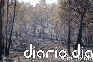 Voluntarios se coordinan para distribuir suministro a los animales del entorno del incendio de Niebla (Huelva)