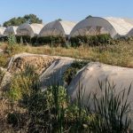 WWF dice que la Junta "no cumple" la recomendación de la Unesco de restaurar los corredores ecológicos de Doñana