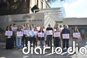 A Mesa critica que el pacto PP-PSdeG "insiste en el veto al gallego en la mitad de las materias"