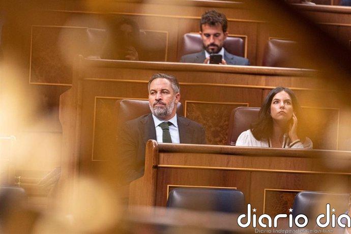 Abascal plantea procesos de "repatriaciones" de inmigrantes que delincan y de "remigración" para los que no trabajan