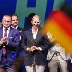AfD exige elecciones anticipadas a Merz para reemplazarlo "antes de Navidad"
