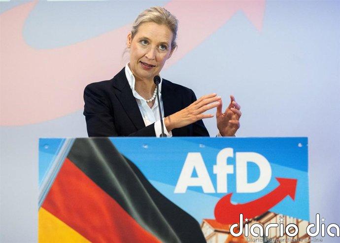 AfD se reivindica como "el partido del pueblo" alemán y pide la dimisión del "débil" Merz
