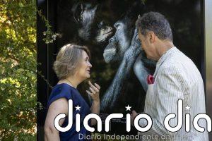 Afundación inaugura en el Retiro (Madrid) una muestra de Tim Flach con retratos de animales en peligro de extinción