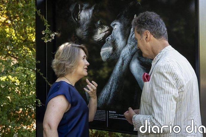 Afundación inaugura en el Retiro (Madrid) una muestra de Tim Flach con retratos de animales en peligro de extinción